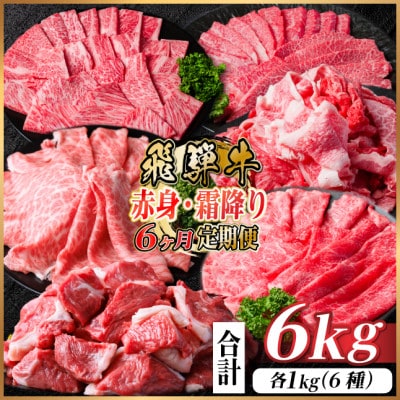 【毎月定期便】飛騨牛　赤身・霜降り定期便　計6kg カルビ・ロース(焼肉・BBQ用) すね肉全6回【配送不可地域：離島】【4075090】