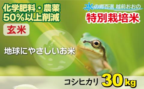 【令和7年産】こしひかり 30kg【玄米】減農薬・減化学肥料 「特別栽培米」－地球にやさしいお米－[C-003004]