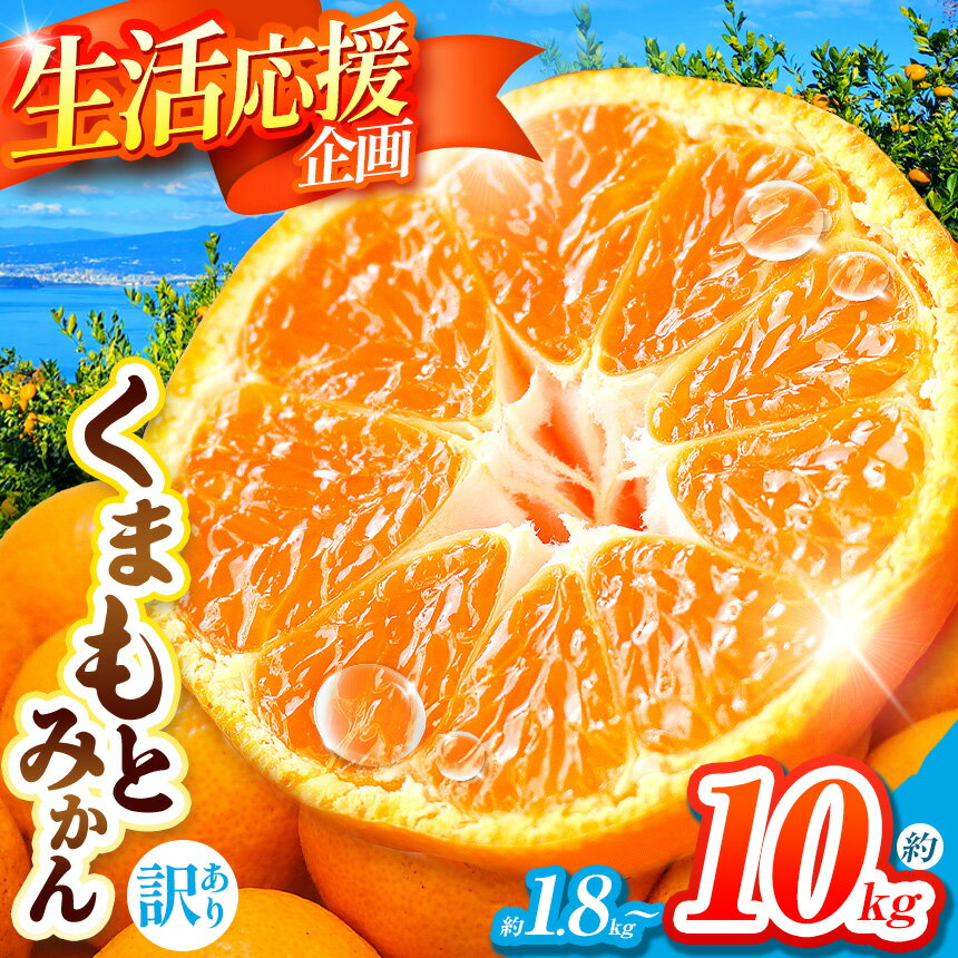 【ふるさと納税】 選べる 内容量 訳あり 大玉 くまもと みかん 約 1.8kg / 5kg / 10kg | 果物 くだもの フルーツ 柑橘 柑橘類 みかん 温州 家庭用 1.8キロ 5キロ 10キロ 大量 みかん 玉名 熊本 送料無料 自宅用