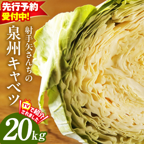 【先行予約】射手矢さんちの泉州キャベツ 20kg【新鮮 野菜 泉佐野産 やさい 射手矢農園 高評価 数量限定 TVで紹介！】 G1312