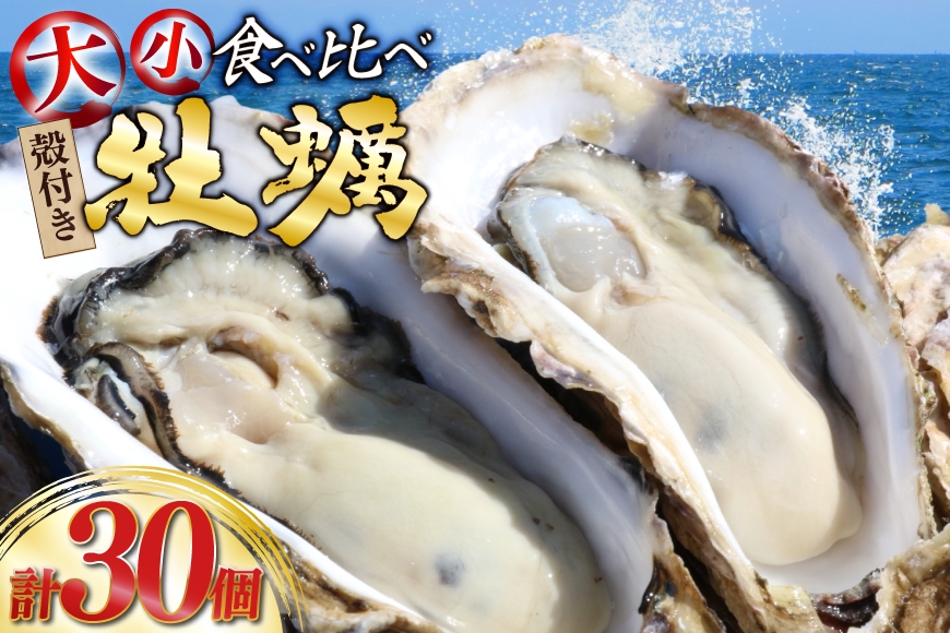 
                  【期間限定発送】 殻付き 牡蠣 計30個 2種(三陸ジオイスター ＆ OMAKI ) 食べ比べ セット 各15個 牡蠣ナイフ付 [Geoyst 宮城県 南三陸町 m304bdz670000] かき カキ オイスター 生牡蠣  真牡蠣
                