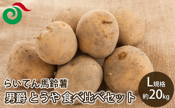 2025年 8月 出荷 先行予約 らいでん 馬鈴薯 食べ比べ 2種 セット 男爵 とうや L 規格 約 20kg じゃがいも 詰合せ イモ 芋 ポテト 北海道 共和町 産地直送 JAきょうわ