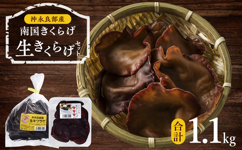 
            南国きくらげ 生セット　C070-001
          