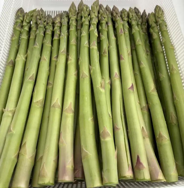 朝採り新鮮アスパラガス 1kg【Lサイズ】 | 野菜 アスパラガス グリーンアスパラ 旬 とれたて 春野菜 春 朝採り 朝採れ とれたて 新鮮 みずみずしい サラダ 甘い お取り寄せ 産地直送 冷蔵 