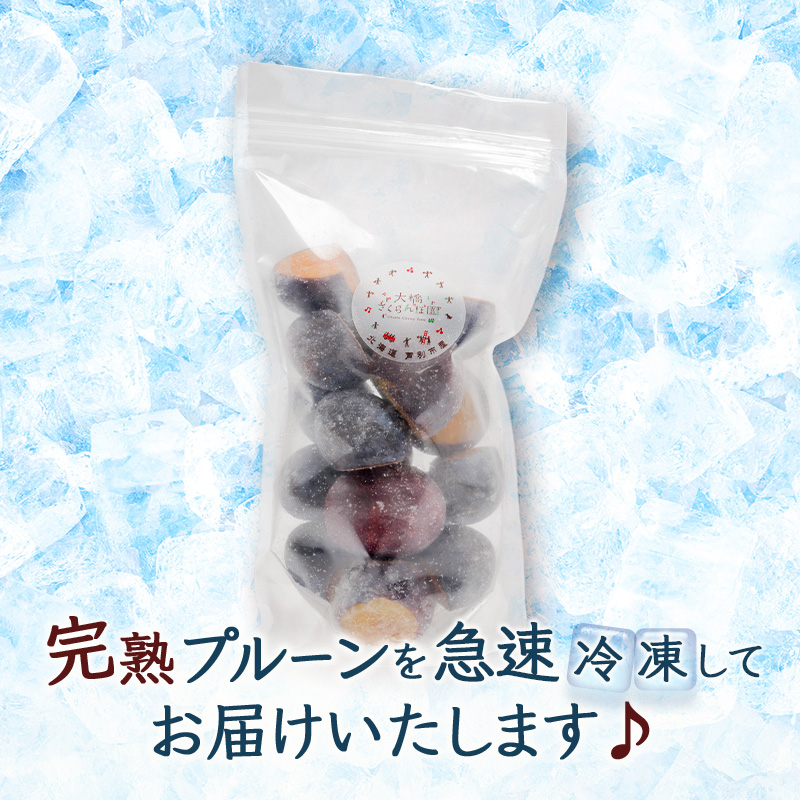【訳アリ】  冷凍 プルーン 500g 大橋さくらんぼ園 果物 果物類 フルーツ デザート 完熟 急速冷凍 新鮮 美味しい 人気 冷凍配送 北海道 芦別市