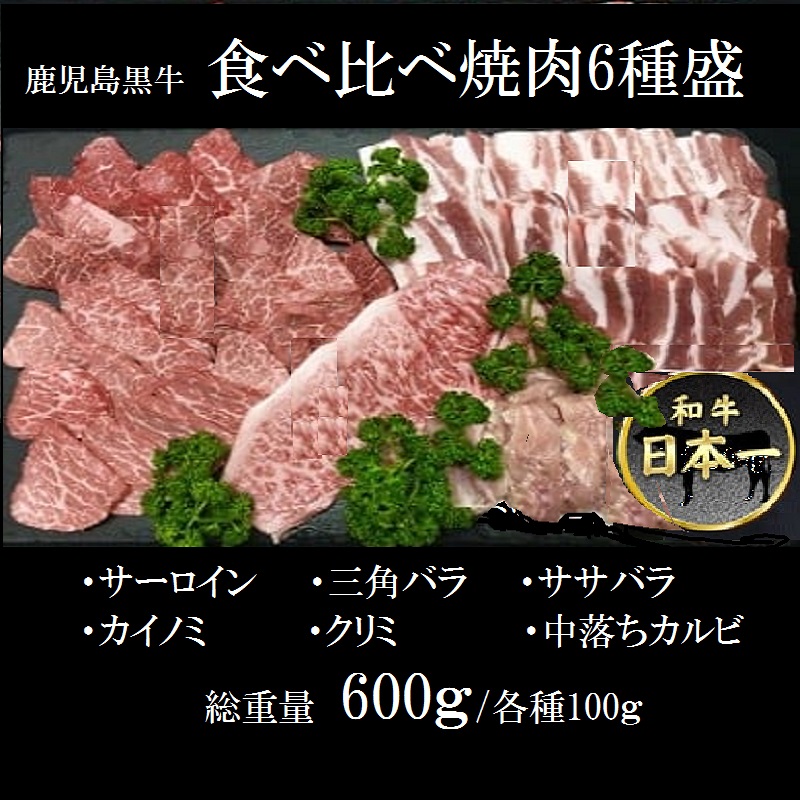 【B01033】鹿児島黒牛 食べ比べ焼肉6種盛_イメージ1