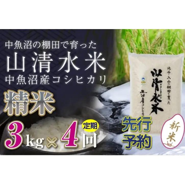 【令和8年産 先行予約】【定期便／全4回】精米3kg 新潟県魚沼産コシヒカリ「山清水米」 お米