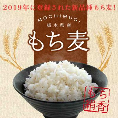 ふるさと納税 佐野市 栃木県産もち絹香 800g×5袋 |  | 01