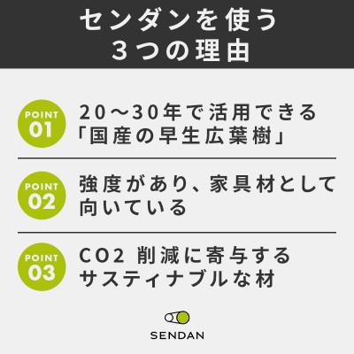 ふるさと納税 大川市 【大川家具】無垢材　テレビボード　風雅　W2000　Type2　天然木　センダン |  | 02