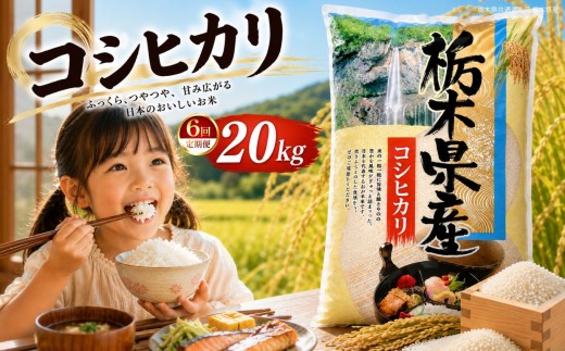 【定期6回】新米 令和8年度 栃木県産 こしひかり 白米 5kg × 4袋 （合計20kg） | ふるさと 納税 コシヒカリ お米 精米 白米 玄米 大粒 共通返礼品 送料無料 那珂川町 栃木県【栃木県共通返礼品】