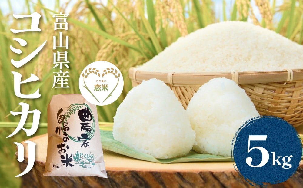 
            令和7年産 富山県産コシヒカリ はざかけ米 5kg 恋米（ここまい） ー天風穂（あまほ）ー
          