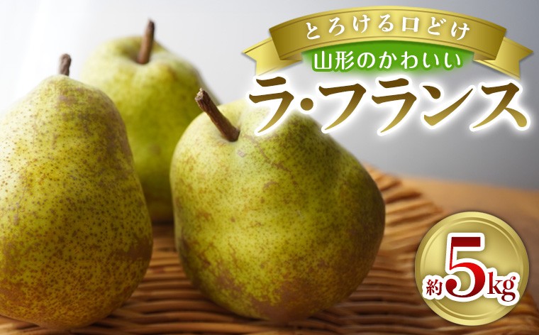 
                  とろける口どけ 山形のかわいい ラ・フランス 約5kg(20~24 玉) FY26-283
                