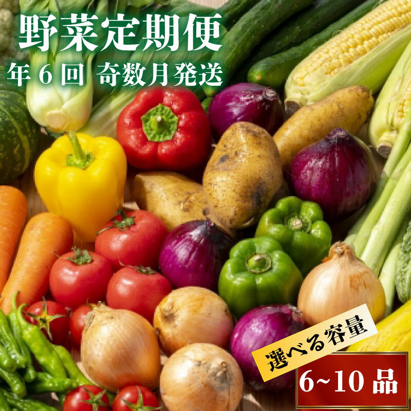 【ふるさと納税】 新鮮お野菜定期便 6回 奇数月発送 野菜 セット 新鮮 野菜詰め合わせ 年6回 春夏秋冬 旬 ふるさと納税野菜 ふるさと納税定期便 ふるさと納税 さつまいも ピーマン なす 大根 白菜 トマト 人参 じゃがいも 人気