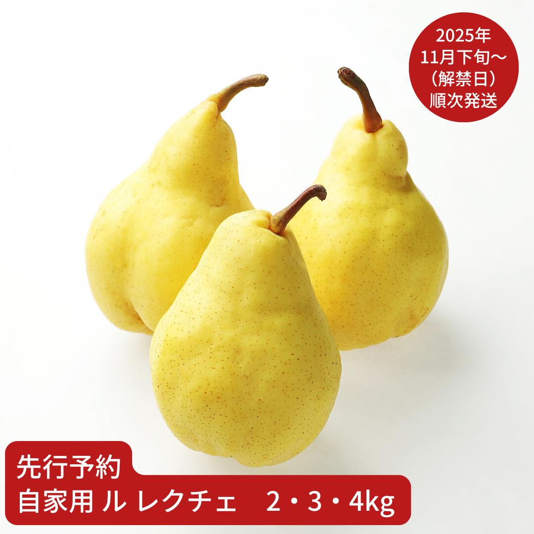 【ふるさと納税】先行予約 ル レクチェ 自家用 約2・3・4kg 令和7年産 ル・レクチェ 新潟県産 洋梨 [小野里果樹園]