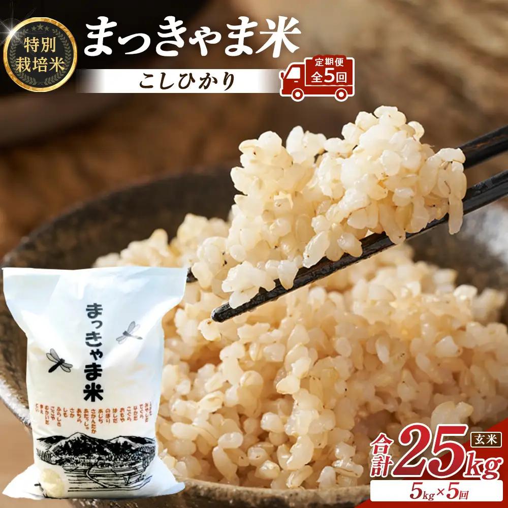 （毎月／全5回）【玄米】定期便　特別栽培米 石川県産こしひかり棚田米”まっきゃま米”
