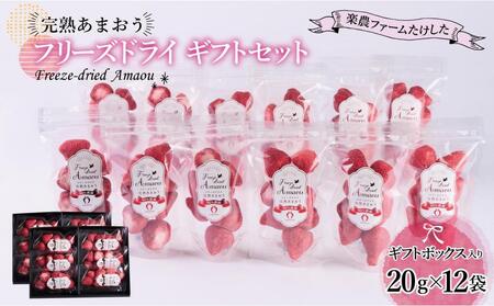 形も味もそのまま楽しめる！完熟あまおう【フリーズドライギフトセット】 (20g×12袋)