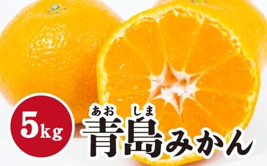 みかん【先行受付】【2026年1月末以降発送】 濃厚な甘さが特徴！青島みかん ＜約5kg＞ 広島 三原 佐木島 鷺島みかんじま 017054
