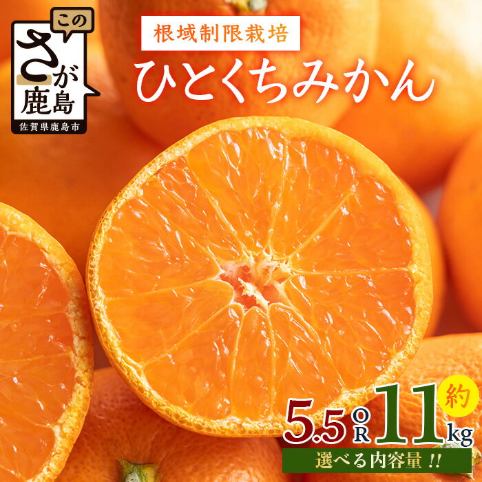 【ふるさと納税】「1月中旬～1月下旬頃までのお届け」根域制限栽培一口みかん【1箱 約5.5kg】 or 【2箱 約11kg】| ふるさと納税 みかん ミカン 蜜柑 果物 フルーツ 果実 根域制限栽培 贈答用 お取り寄せ ギフト 国産 佐賀県産 佐賀県 鹿島市 ふるさと 人気 送料無料 A-178