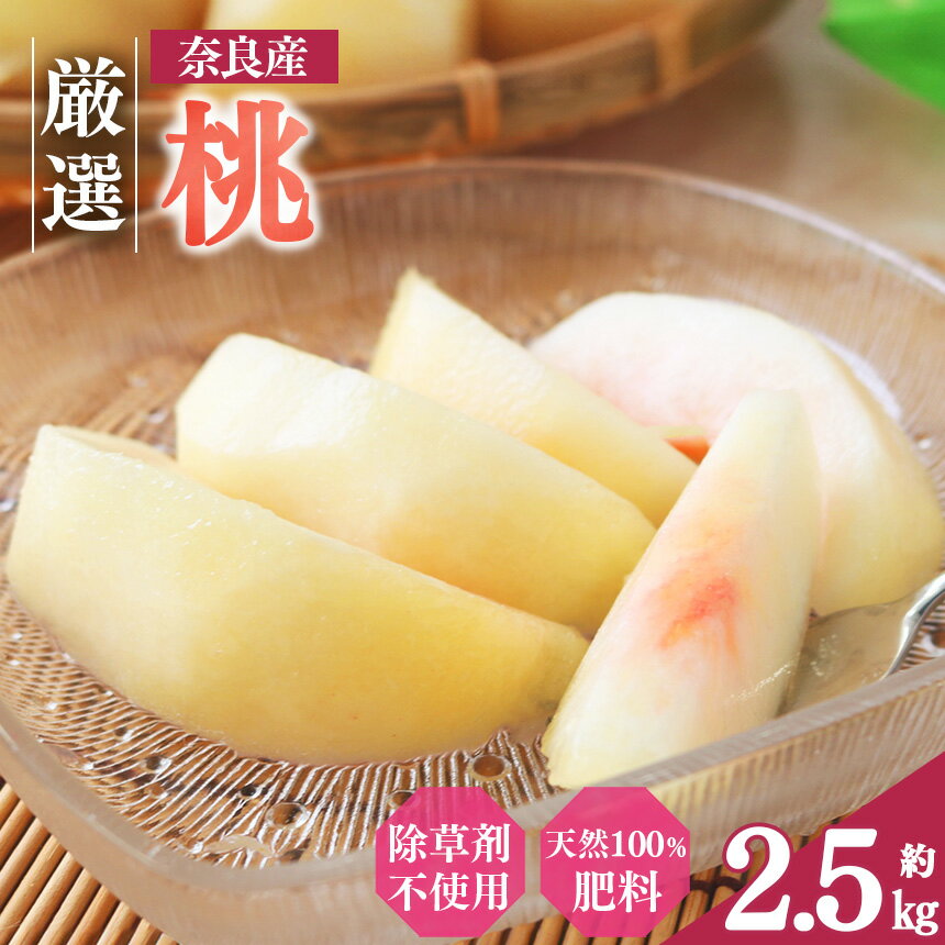 【ふるさと納税】大和果樹園の桃 約2.5kg | フルーツ 果物 くだもの 桃 もも ピーチ 白鳳 夢しずく あかつき 白桃 夏おとめ 白麗 奈良県 五條市