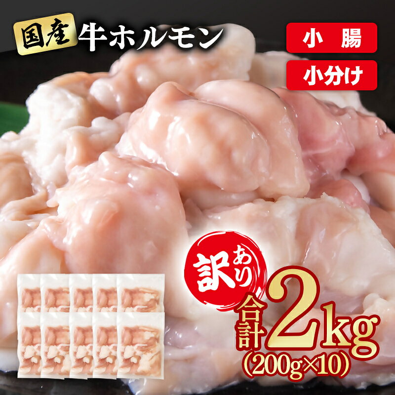 【ふるさと納税】訳あり牛ホルモン2kg 小分け200g×10 国産 ホルモン 小腸 もつ鍋 焼肉用 国産牛 牛モツ コラーゲン＜1.4-37＞ YAMA