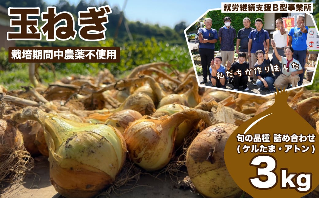 
            玉ねぎ3㎏ | 玉ねぎ たまねぎ タマネギ ケルたま アトン 栽培期間中農薬不使用 化学肥料不使用 新鮮 やさい 野菜 国産野菜 おいしい 新鮮 産地直送 お取り寄せ 埼玉県 東松山市
          