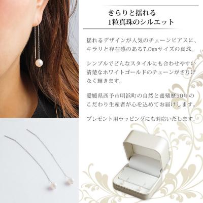 ふるさと納税 西予市 <真珠ピアス・カティーナ(ホワイトゴールド)>　パール　ジュエリー　アクセサリー　ファッション |  | 01