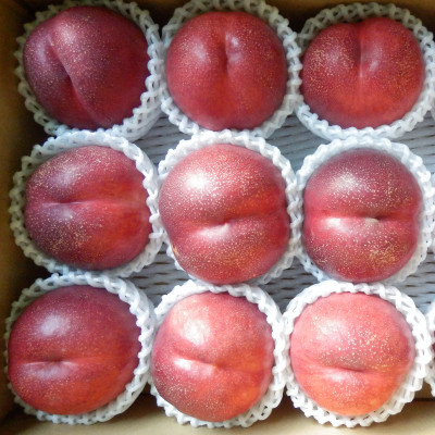 
                  長野県中野市産スイートネクタリン　2kg(7～12玉)【1295094】
                