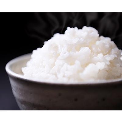 ふるさと納税 南魚沼市 【精米】南魚沼産こしひかり10kg(自然微生物農法・栽培期間化学肥料不使用) |  | 02