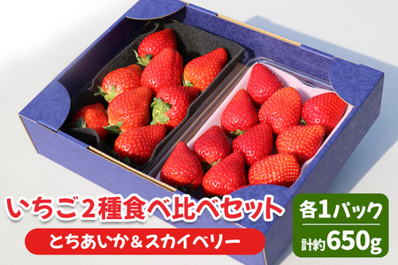 [先行予約／数量限定] いちご 2種食べ比べセット「とちあいか＆スカイベリー」各1パック 計約650g 贈答用化粧箱入り 約4人分｜いちご イチゴ 苺 果物 日光産 栃木県産 フルーツ 期間限定 [0227]