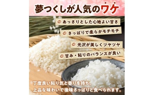 福岡県産「夢つくし」無菌パックご飯（48パック） ZX02