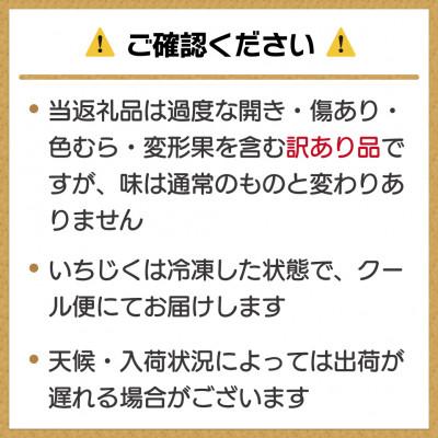 ふるさと納税 春日市 訳あり冷凍いちじく「とよみつひめ」500g×4袋(2kg)(春日市) |  | 03