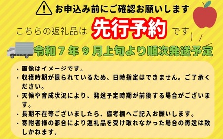 【先行予約】サンつがる【約2.5ｋｇ(6〜9玉)】(7-A19-1)