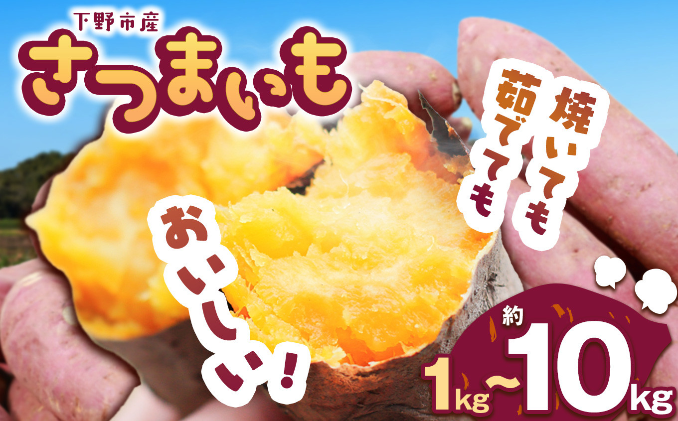 
            【先行予約】下野市産さつまいも 1～10kg  | さつまいも 芋 さつまいもご飯 炊き込みご飯 スイートポテト 大学芋 栗きんとん 秋 さつまいも 秋の味覚 栃木県 下野市 しもつけ市
          