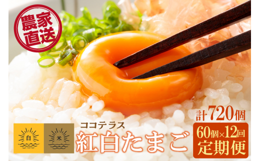 
【12ヵ月定期便】ココテラスの紅白たまご　55個 + 5個保証（計60個）
