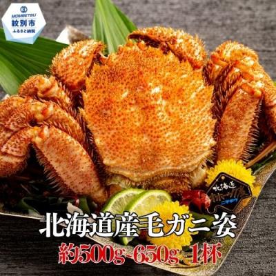 ふるさと納税 紋別市 北海道産毛ガニ　約500〜650g×1杯★