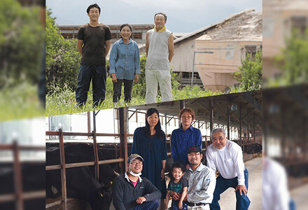 990.【 和牛 セレブ（鳥取 和牛 定期便：6回）】レギュラークラス | 牛肉 すき焼き ステーキ しゃぶしゃぶ 焼き肉 焼肉