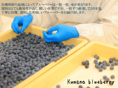 くまのブルーベリー(冷凍) 熊野精工 熊野 果物 フルーツ デザート おやつ スムージー