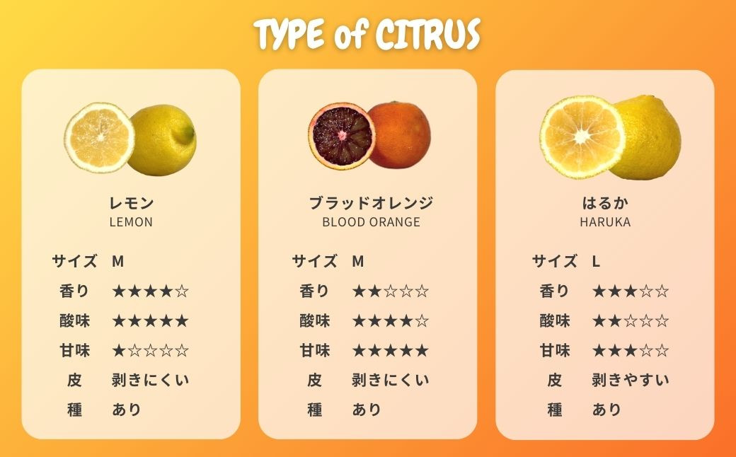 柑橘の品種別特徴（レモン/ブラッドオレンジ/はるか）
