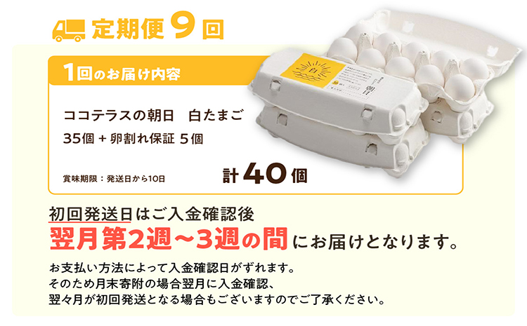 【9ヵ月定期便】ココテラスの朝日（白たまご）35個 + 5個保証（計40個）