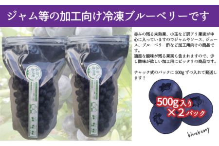 【先行予約】ジャム用冷凍ブルーベリー 1㎏ ｜ 西条ブルーベリー農園