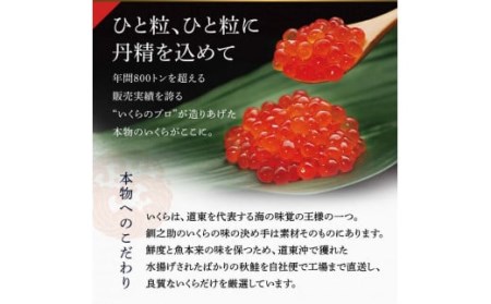 北海道産 いくら80g×2+ほたて500g 小分けいくらとほたてのセット ふるさと納税 海鮮 いくら 帆立 海鮮物 セット北海道 釧路 _F4F-7983