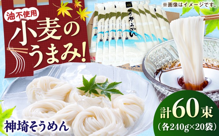 
                  神埼そうめん 4.8㎏（240g×20束） / 佐賀県 /神埼そうめん協同組合  [41AJAD003]
                
