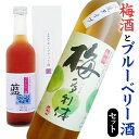 【ふるさと納税】梅酒 と ブルーベリー酒 セット500ml 2本 飲み比べ 家飲み 宅飲み お酒 日本酒 梅酒 果実酒 梅多利体 藍