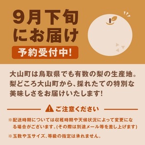YN-03 鳥取県産和ナシ　新高梨5kg