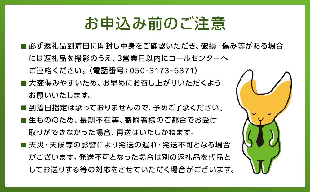 【2024年8月下旬以降より発送】旬の梨おまかせ5kg・6-14玉（自家製有機肥料・減農薬・化学肥料無使用）