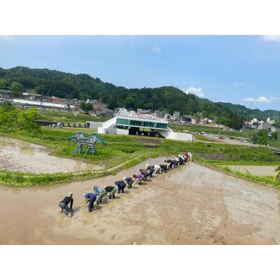 ふるさと納税 十日町市 「まつだい棚田バンク」 標準コース (150平方メートル)