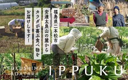 自家採蜜はちみつ  高麗人参入り 840g【あだたら高原いっぷく】