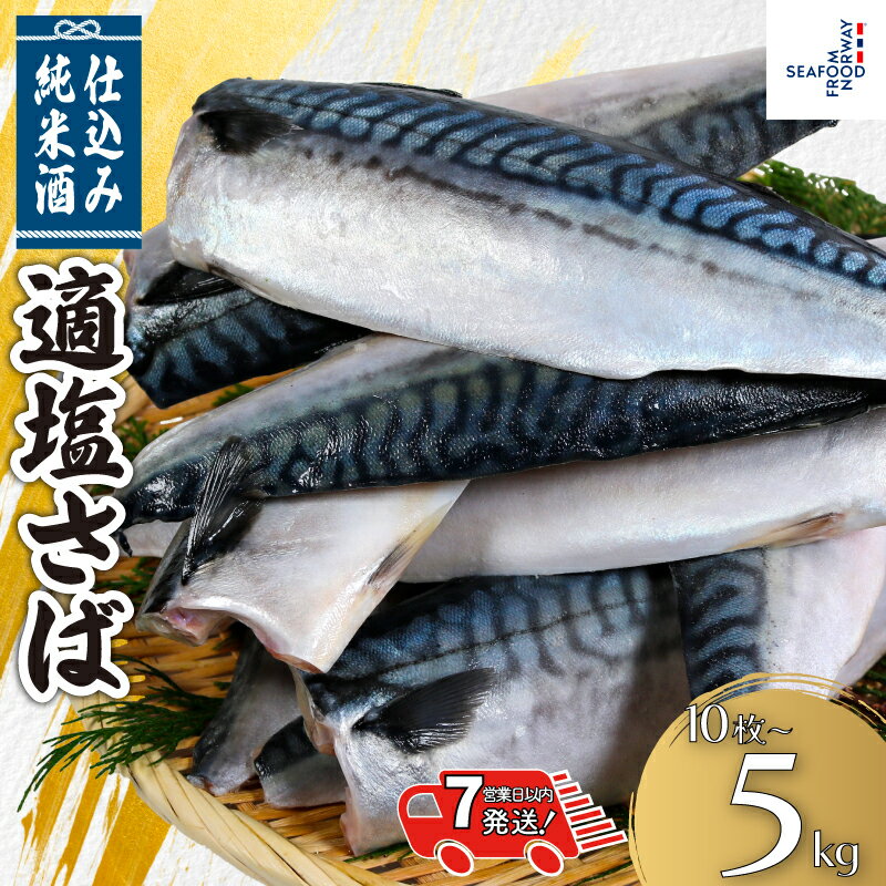 【ふるさと納税】 適塩さば 純米酒仕込み 【 選べる 容量 】 10枚 〜 5kg 【 スピード配送 】