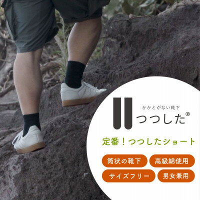 【ふるさと納税】定番!つつしたショート【1592257】