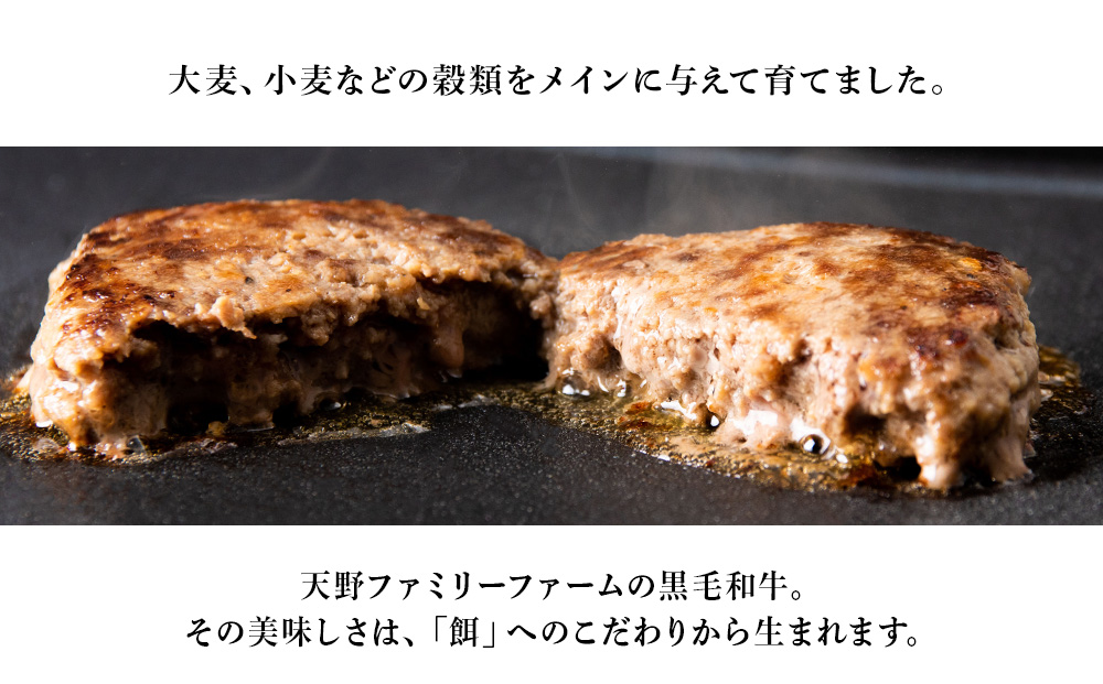 北海道 白老産 自家製 黒毛和牛 手ごね ハンバーグ 4枚セット 肉 牛肉 冷凍 白老 白老牛 BS047_イメージ3